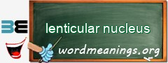 WordMeaning blackboard for lenticular nucleus